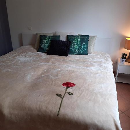 Logement Calme Et Agreable A Proximite D'Ajaccio Canale Exterior photo